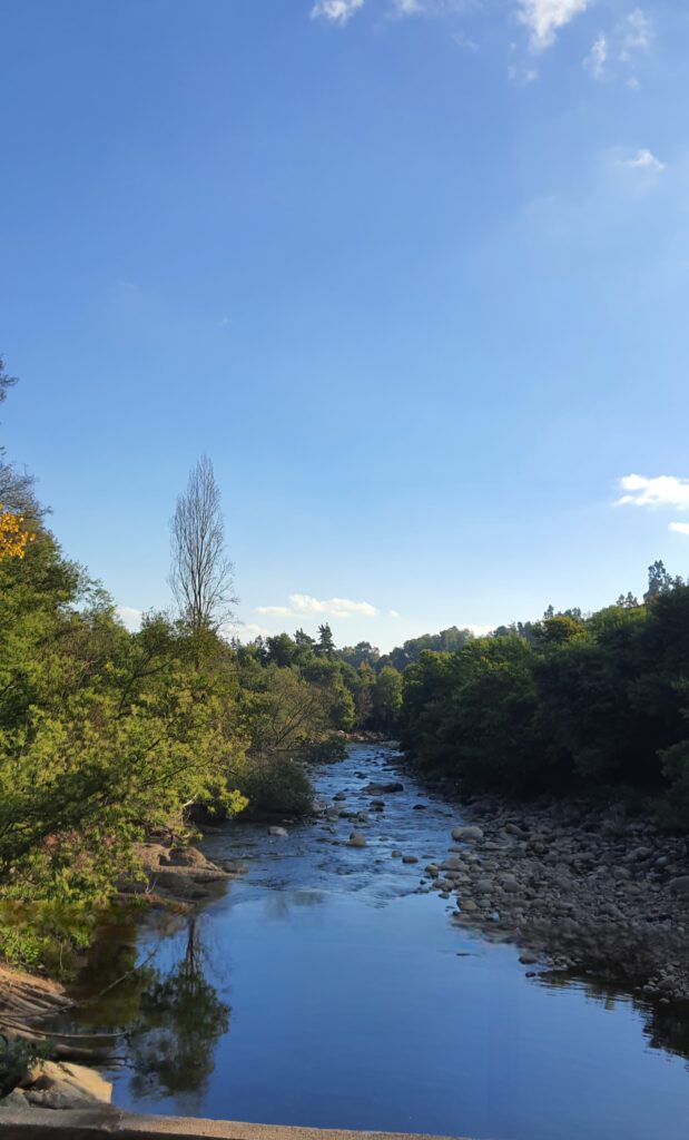20240511_153334